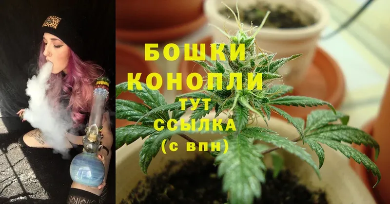 МАРИХУАНА LSD WEED  Куртамыш 